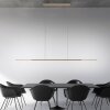 Surface Suspension Luminaires Paul Neuhaus LED Bronze, 1 lumière