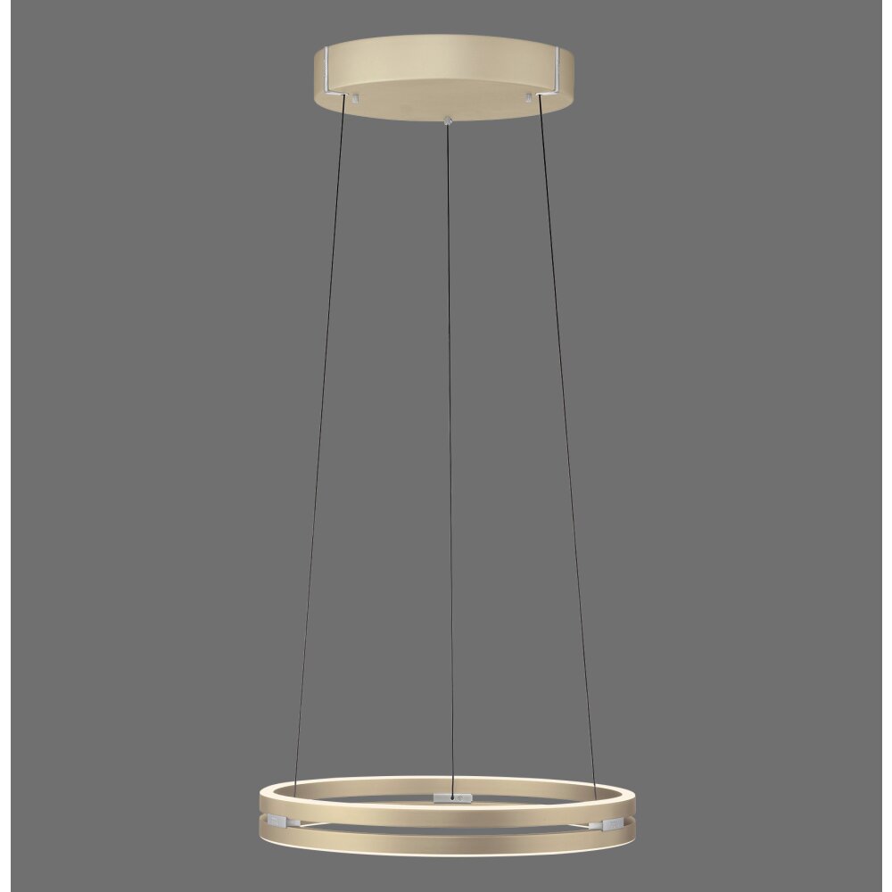 E-Loop Suspension Luminaires Paul Neuhaus LED Laiton, 2 lumières, Télécommandes main product photo