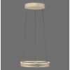 E-Loop Suspension Luminaires Paul Neuhaus LED Laiton, 2 lumières, Télécommandes