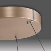 E-Loop Suspension Luminaires Paul Neuhaus LED Laiton, 2 lumières, Télécommandes