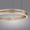 E-Loop Suspension Luminaires Paul Neuhaus LED Laiton, 2 lumières, Télécommandes
