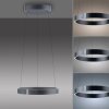 E-Clipse Suspension Luminaires Paul Neuhaus LED Gris, 2 lumières, Télécommandes