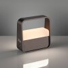 Go Lampe à poser Luminaires Paul Neuhaus LED Brun, 1 lumière