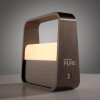 Go Lampe à poser Luminaires Paul Neuhaus LED Brun, 1 lumière