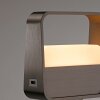 Go Lampe à poser Luminaires Paul Neuhaus LED Brun, 1 lumière