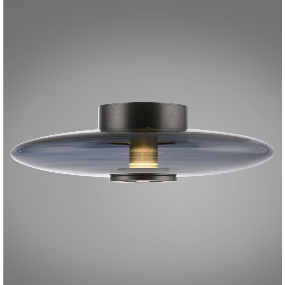 Vitrum Plafonnier Luminaires Paul Neuhaus LED Gris, 2 lumières main product photo