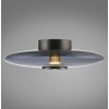 Vitrum Plafonnier Luminaires Paul Neuhaus LED Gris, 2 lumières