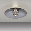 Vitrum Plafonnier Luminaires Paul Neuhaus LED Gris, 2 lumières
