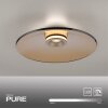 Moon Plafonnier Luminaires Paul Neuhaus LED Bronze, 2 lumières