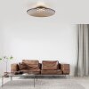 Moon Plafonnier Luminaires Paul Neuhaus LED Bronze, 2 lumières