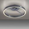 Loop Plafonnier Luminaires Paul Neuhaus LED Gris, 2 lumières, Télécommandes