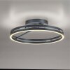 Loop Plafonnier Luminaires Paul Neuhaus LED Gris, 2 lumières, Télécommandes