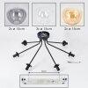 Gastor Plafonnier, Boule lumineuse Ambre, Clair, Fumé, 7 lumières