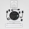 Apedo Suspension, Suspension, Suspension grappe Clair, 3 lumières