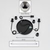 Ripoll Suspension, Boule lumineuse, Suspension grappe Chrome, Fumé, 3 lumières