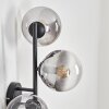 Gastor Boule lumineuse, Applique murale Clair, Fumé, 3 lumières