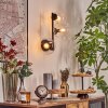 Gastor Boule lumineuse, Applique murale Clair, 3 lumières