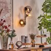 Gastor Boule lumineuse, Applique murale Ambre, Clair, Fumé, 3 lumières