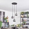 Ripoll Suspension, Boule lumineuse, Suspension grappe Fumé, 3 lumières