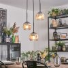 Ripoll Suspension, Boule lumineuse, Suspension grappe Chrome, Clair, Fumé, 3 lumières