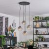 Ripoll Suspension, Boule lumineuse, Suspension grappe Clair, Fumé, 4 lumières