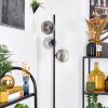 Ripoll Lampadaire Chrome, Clair, Fumé, 3 lumières