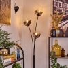 Ripoll Boule lumineuse, Lampadaire Clair, Fumé, 3 lumières