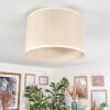 Bassagoda Plafonnier beige, Blanc, 1 lumière