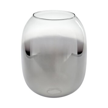 Abat-jour en verre Apedo Verre de rechange, pièce de rechange Clair, Fumé Abat-jour en verre Apedo Verre de rechange, pièce de rechange Clair, Fumé