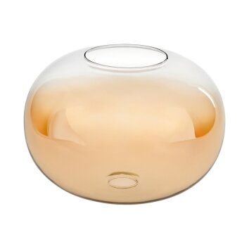 Abat-jour en verre Apedo Verre de rechange, pièce de rechange Ambre, Clair Abat-jour en verre Apedo Verre de rechange, pièce de rechange Ambre, Clair