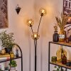 Ripoll Boule lumineuse, Lampadaire Ambre, 3 lumières