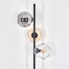 Ripoll Lampadaire Ambre, Clair, Fumé, 3 lumières