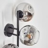 Ripoll Boule lumineuse, Applique murale Chrome, Clair, Fumé, 3 lumières