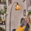 Ripoll Lampadaire, Lampadaires arc Noir, 1 lumière