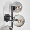 Gastor Boule lumineuse, Applique murale Fumé, 3 lumières