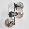 Gastor Boule lumineuse, Applique murale Fumé, 3 lumières