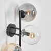 Gastor Boule lumineuse, Applique murale Ambre, Clair, Fumé, 3 lumières