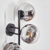 Gastor Boule lumineuse, Applique murale Chrome, Clair, Fumé, 3 lumières
