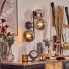 Gastor Boule lumineuse, Applique murale Chrome, Clair, Fumé, 3 lumières