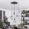 Ripoll Suspension, Boule lumineuse, Suspension grappe Clair, 4 lumières