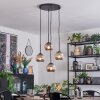 Ripoll Suspension, Boule lumineuse, Suspension grappe Fumé, 4 lumières