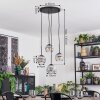 Ripoll Suspension, Boule lumineuse, Suspension grappe Chrome, Clair, Fumé, 4 lumières
