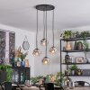 Ripoll Suspension, Boule lumineuse, Suspension grappe Chrome, Clair, Fumé, 4 lumières