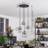 Ripoll Suspension, Boule lumineuse, Suspension grappe Chrome, Clair, Fumé, 4 lumières