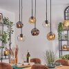 Ripoll Suspension, Boule lumineuse, Suspension Ambre, Clair, Fumé, 6 lumières