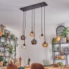 Ripoll Suspension, Boule lumineuse, Suspension Ambre, Clair, Fumé, 6 lumières