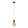 SARONA Suspension Luminaires Eglo Noir, 1 lumière SARONA Suspension Luminaires Eglo Noir, 1 lumière