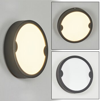 Applique murale d'extérieur Ruosina LED Anthracite, 1 lumière