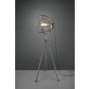 Lampadaire Trio Ivar Brun foncé, Nickel mat, 1 lumière