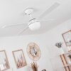 Ventilateur de plafond Hausvik Brun, Blanc, 1 lumière, Télécommandes